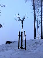                                 29. Januar 2011 - ein kalter Wintersamstag bei Samuel
